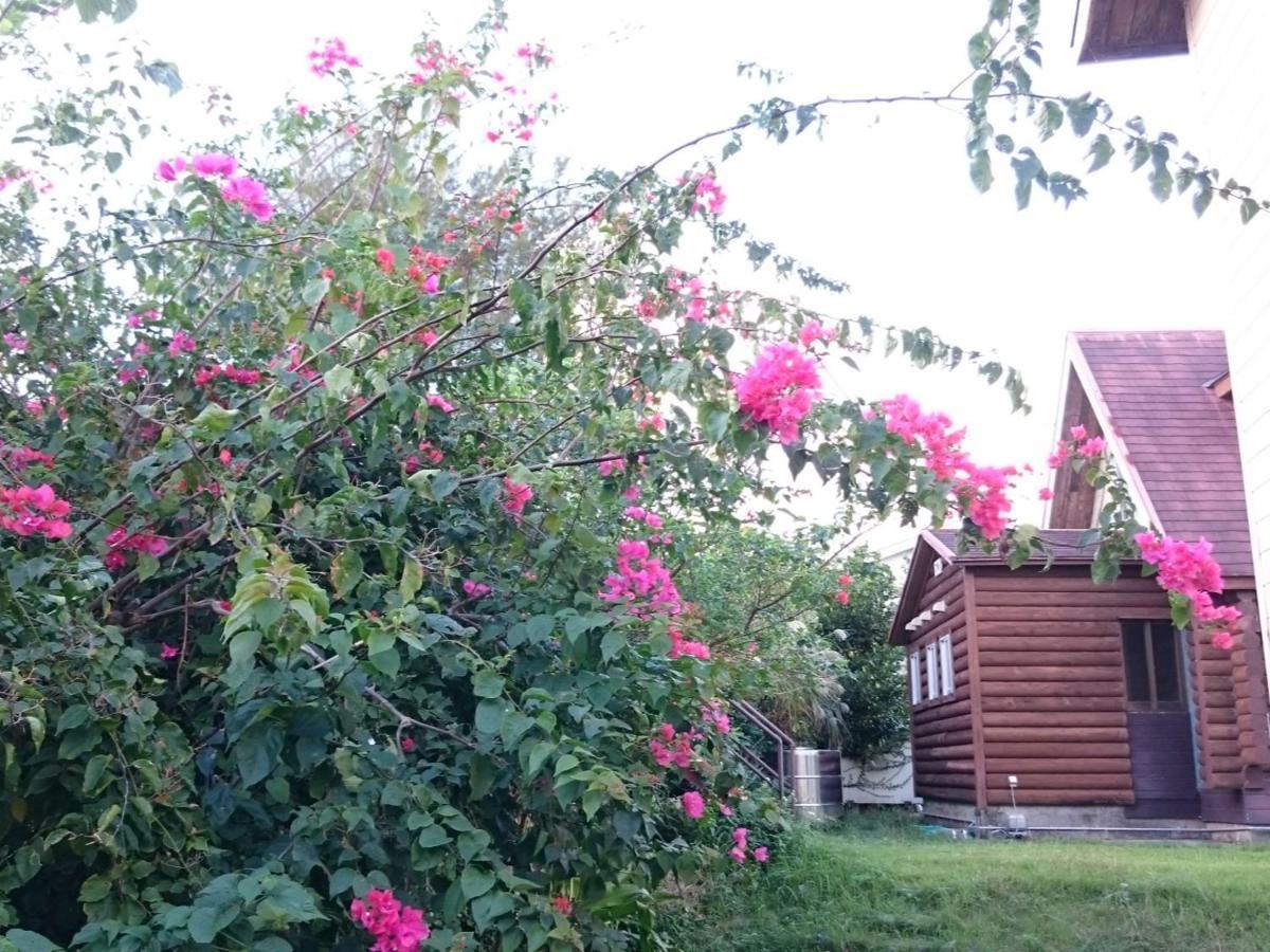 Garden Beach House Motobu Exterior photo